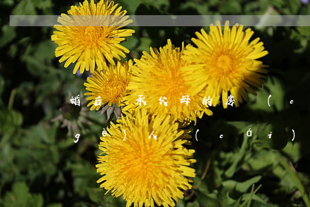 婚后繼承父母的房產(chǎn)，就是個(gè)人財(cái)產(chǎn)嗎？